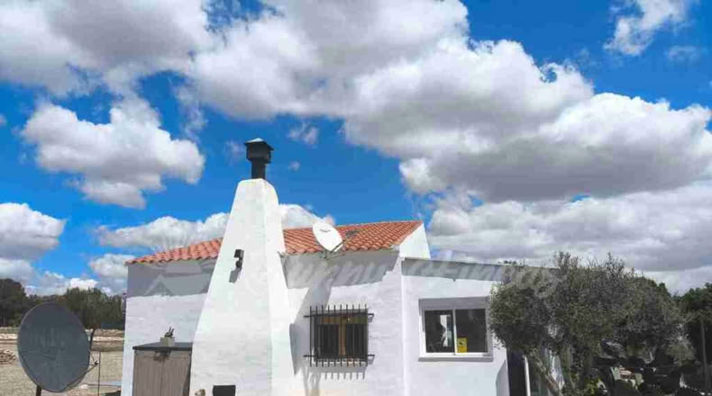 Murcia - Yecla - 80000m2