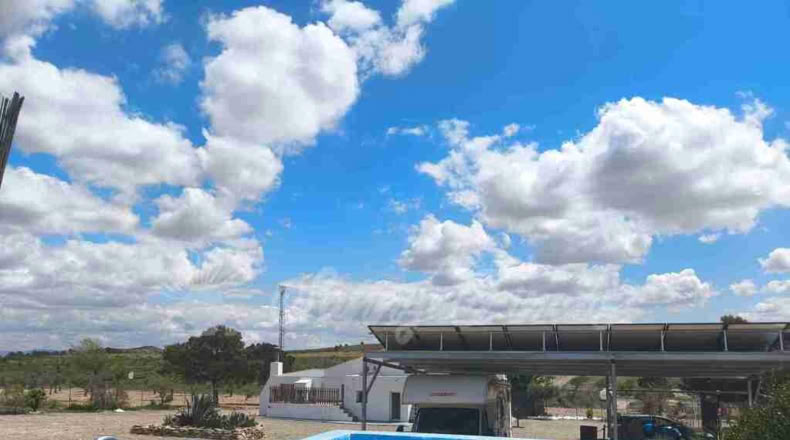 Murcia - Yecla - 80000m2