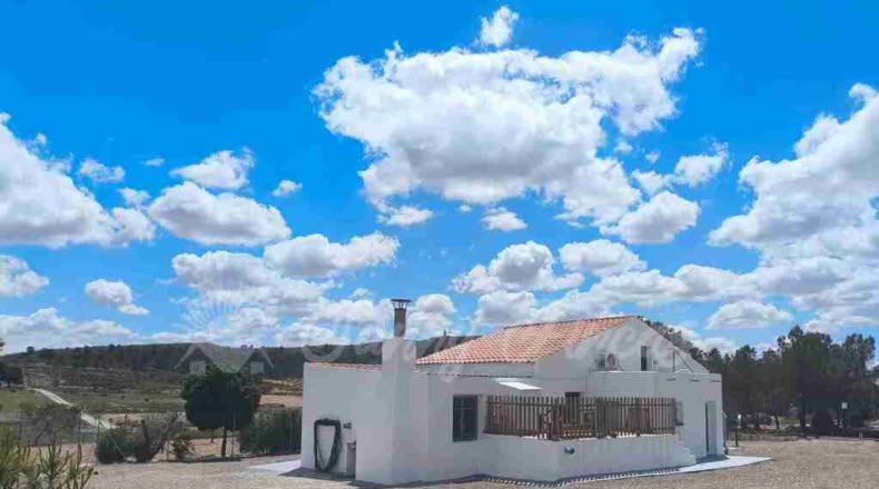 Murcia - Yecla - 80000m2