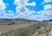 Masia amb terreny en venda a Iecla ref.: TR232790 foto
