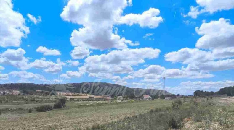 Murcia - Yecla - 80000m2