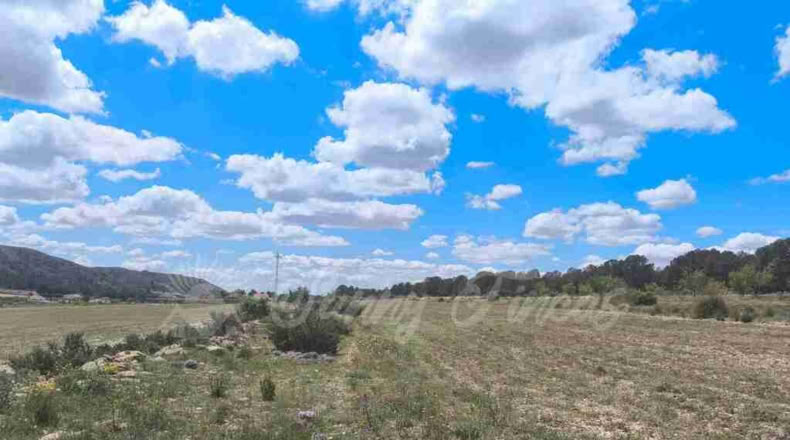 Murcia - Yecla - 80000m2