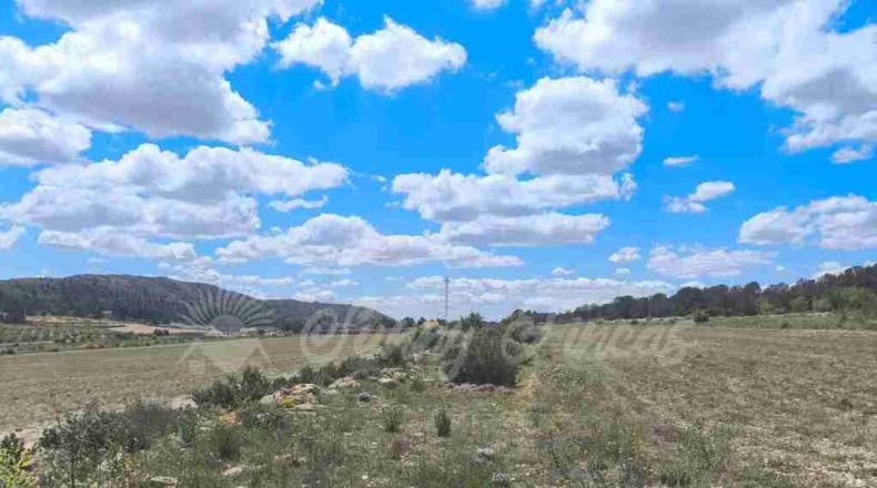 Murcia - Yecla - 80000m2
