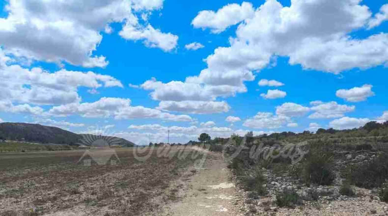 Murcia - Yecla - 80000m2