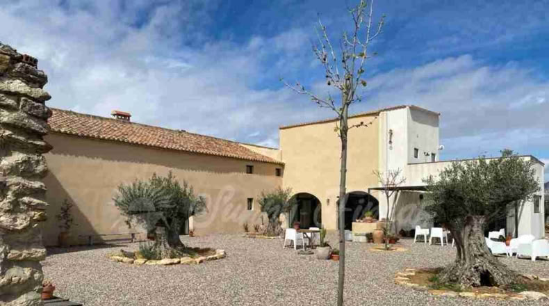 Albacete - Almansa - 40000m2
