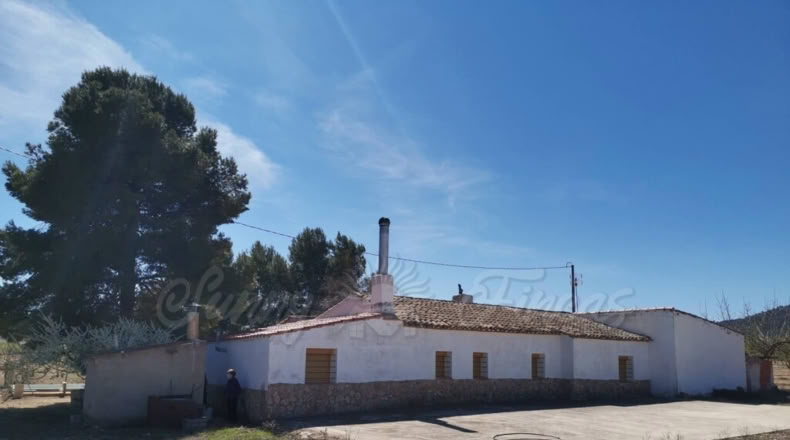 Murcia - Yecla - 52000m2