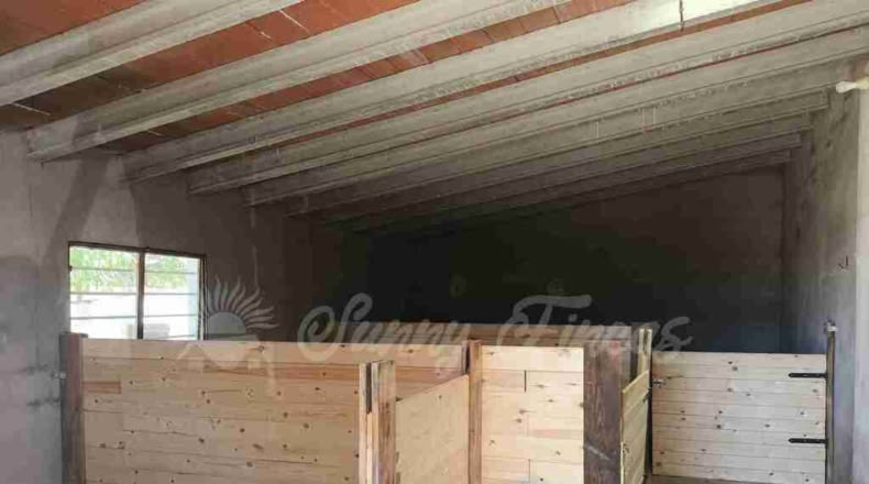 Murcia - Yecla - 52000m2