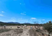 Masía con terreno en venta en Yecla ref: TR233354 foto