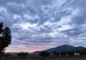 Masía con terreno en venta en Yecla ref: TR233354 foto