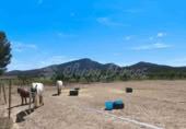 Masía con terreno en venta en Yecla ref: TR233354 foto