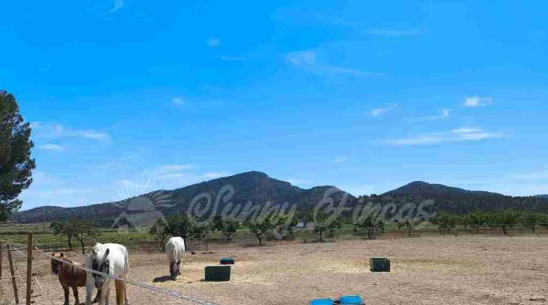 Murcia - Yecla - 52000m2
