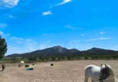 Masía con terreno en venta en Yecla ref: TR233354 foto