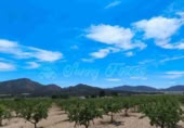 Masía con terreno en venta en Yecla ref: TR233354 foto