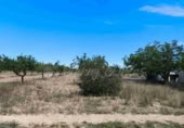 Masía con terreno en venta en Yecla ref: TR233354 foto