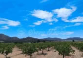 Masía con terreno en venta en Yecla ref: TR233354 foto