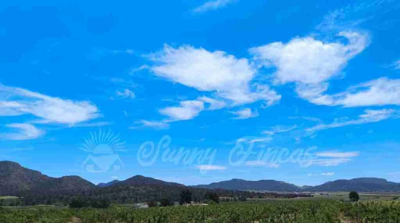 Murcia - Yecla - 52000m2
