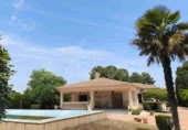 Xalet independent amb terreny en venda a Iecla ref.: TR234465 foto