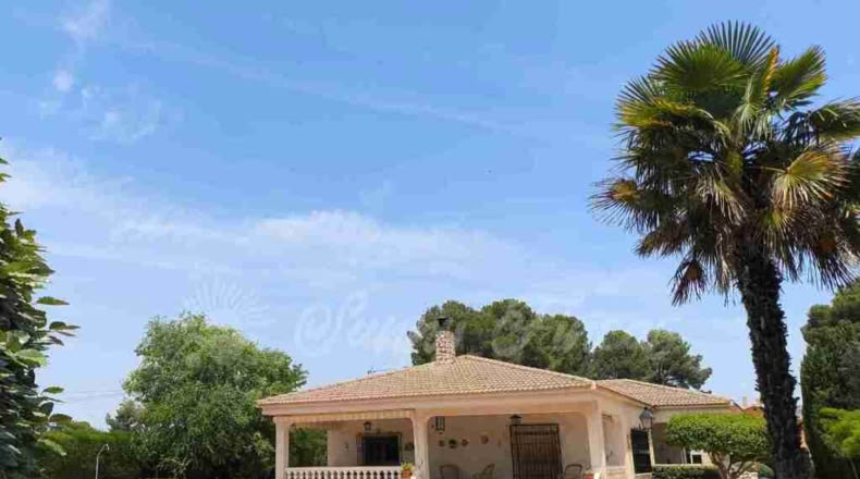 Murcia - Yecla - 5500m2