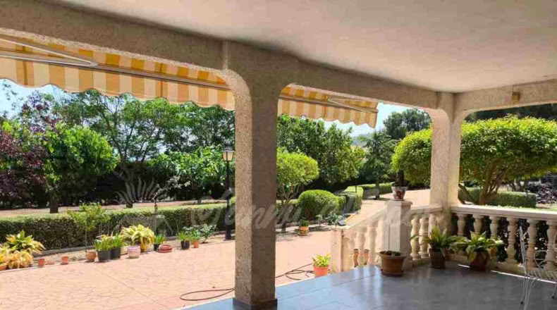 Murcia - Yecla - 5500m2