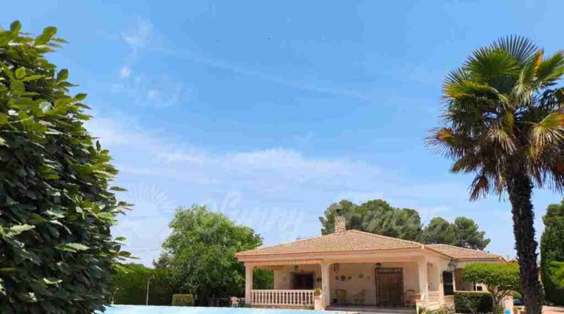 Murcia - Yecla - 5500m2