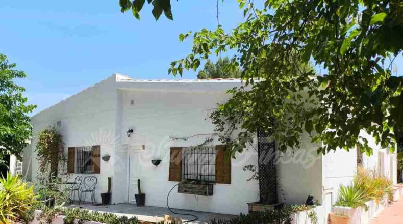 Alicante - Villena - 6000m2