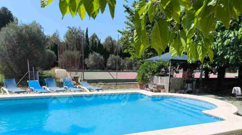 Alicante - Villena - 6000m2