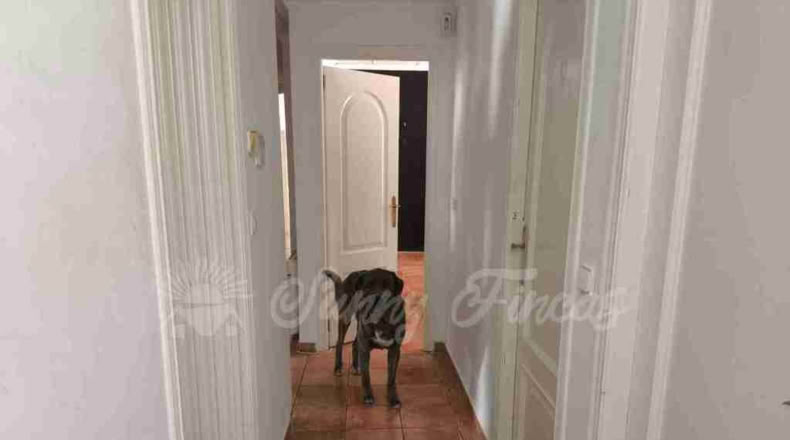 Alicante - Villena - 6000m2