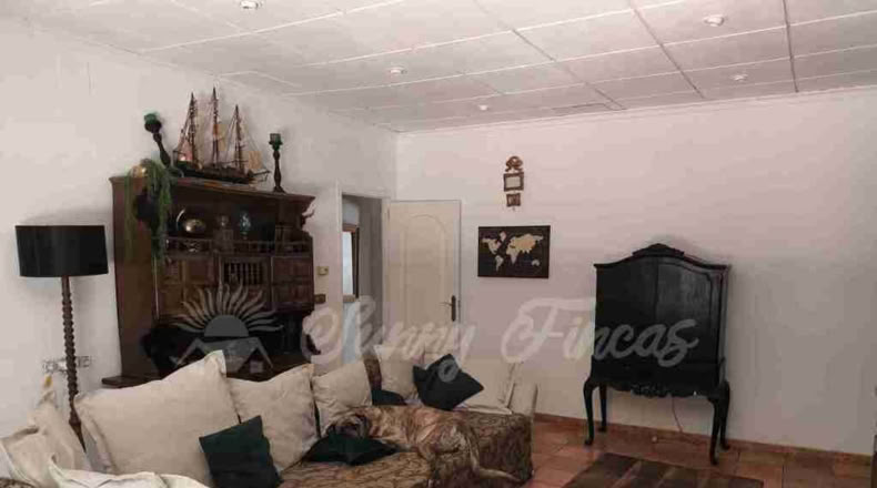 Alicante - Villena - 6000m2