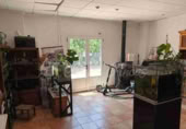 Xalet independent amb terreny en venda a Villena ref.: TR258271 foto
