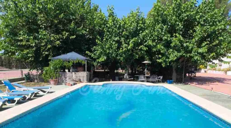 Alicante - Villena - 6000m2
