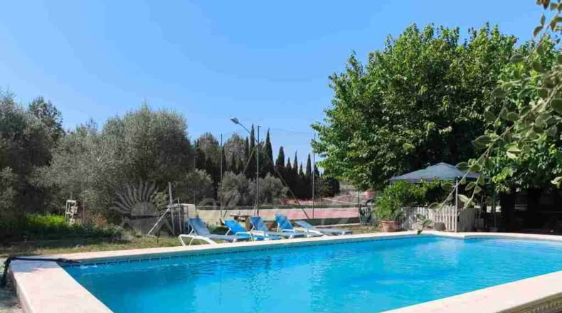 Alicante - Villena - 6000m2