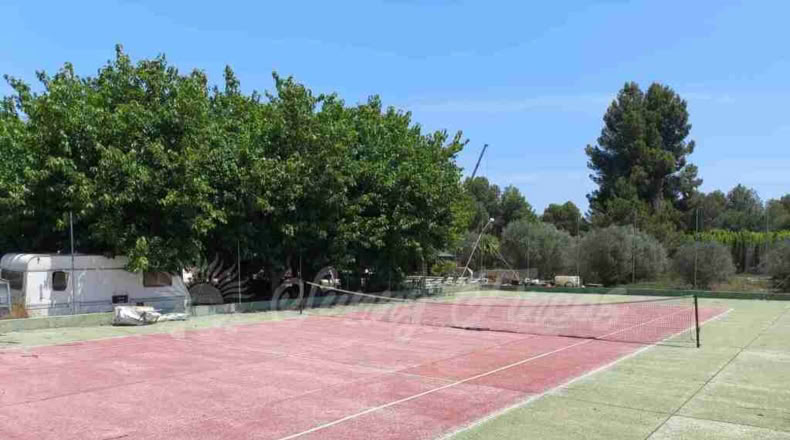 Alicante - Villena - 6000m2