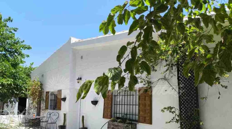 Alicante - Villena - 6000m2