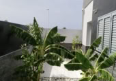 Chalet independiente con terreno en venta en Tuineje ref: TR201044 foto