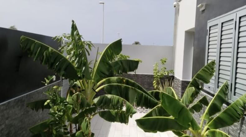 Las Palmas - Tuineje - 200m2