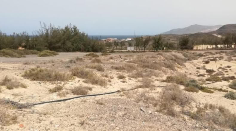 Las Palmas - Pájara - 3382m2