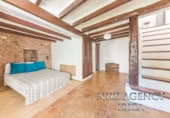 Chalet independiente con terreno en venta en Ibiza ref: TR201107 foto