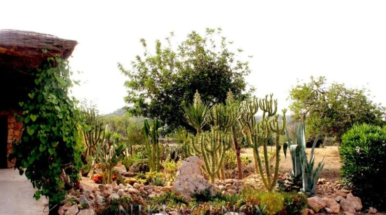 Islas Baleares - San Antonio Abad - 15000m2