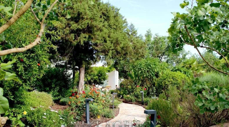 Islas Baleares - San Antonio Abad - 15000m2