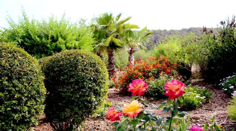 Islas Baleares - San Antonio Abad - 15000m2