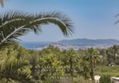 Отдельно стоящий дом с участком на продажу в городе Santa Eulària des Riu. Фото