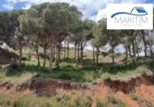 Sòl urbà en venda a Pineda de Mar ref.: TR109024 foto