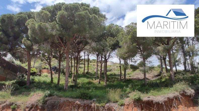 Barcelona - Pineda de Mar - 680m2