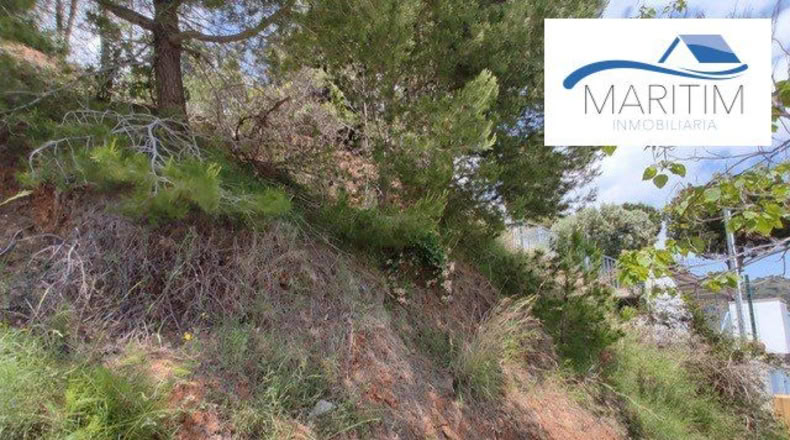 Barcelona - Pineda de Mar - 680m2