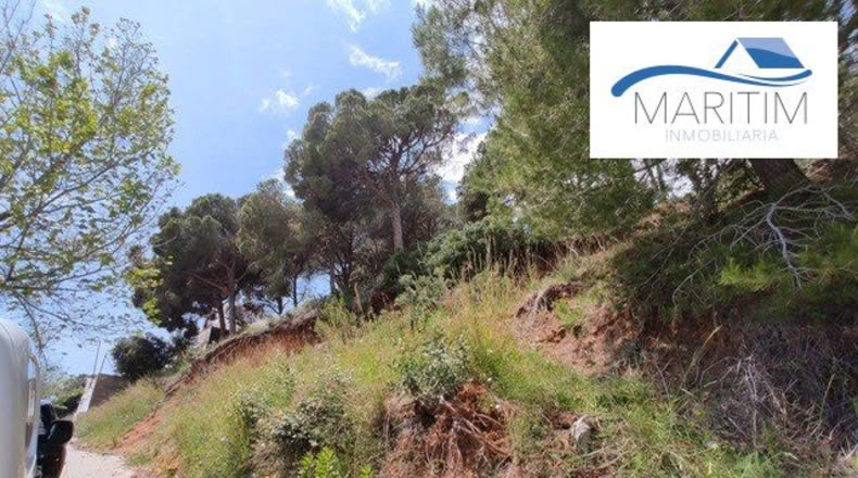 Barcelona - Pineda de Mar - 680m2