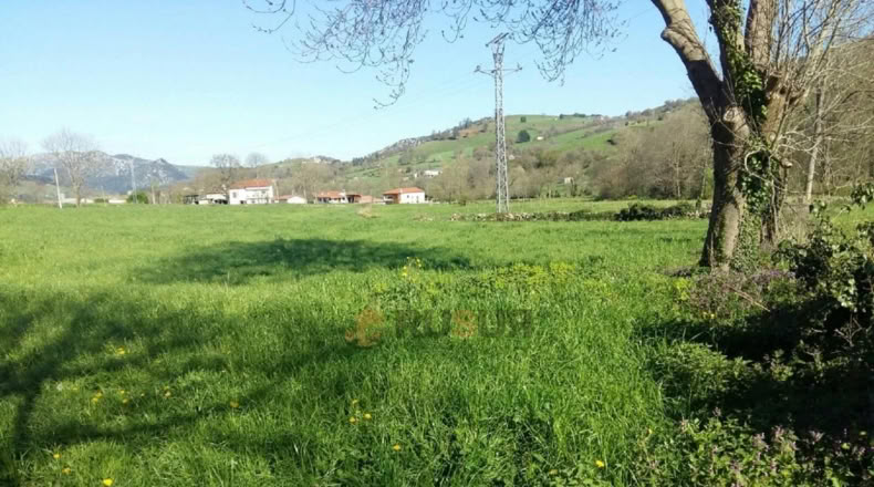 Cantabria - Ojuriego - 595m2