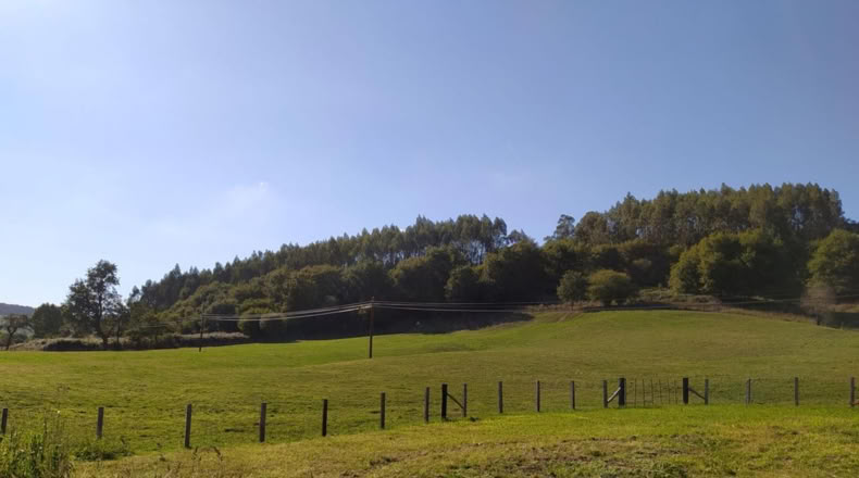 Cantabria - Parbayón - 27674m2