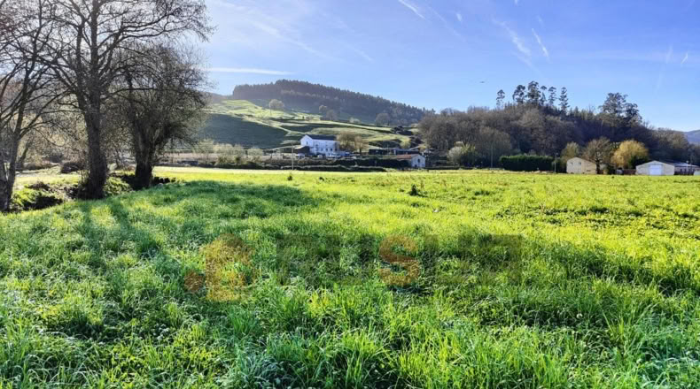 Cantabria - Renedo de Piélagos - 3200m2