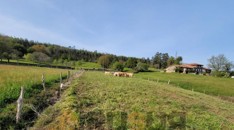 Asturias - Llonín - 3086m2