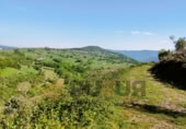 Finca rústica en venta en San Pedro del Romeral ref: TR108459 foto